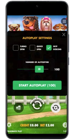 autoplay customization
