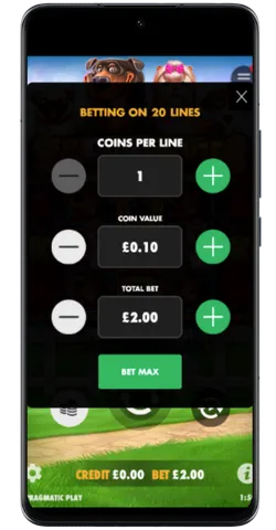 betting panel setup