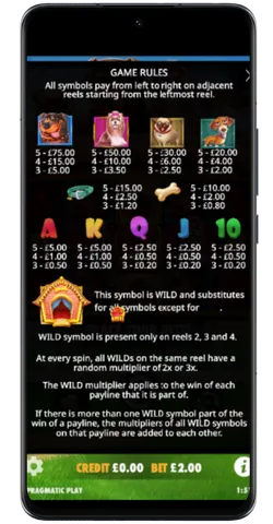 wild multiplier reels