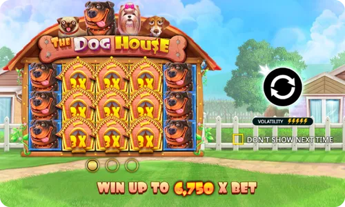 The Dog House experience
